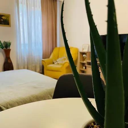 Postavarului Apartment Brasov