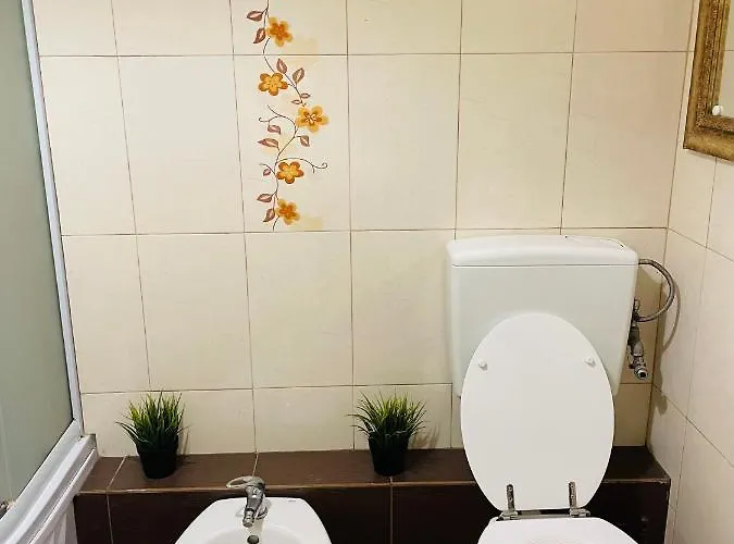 Apartament Postavarului Braszów